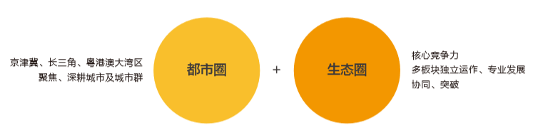 鸿坤的双圈战略示意图