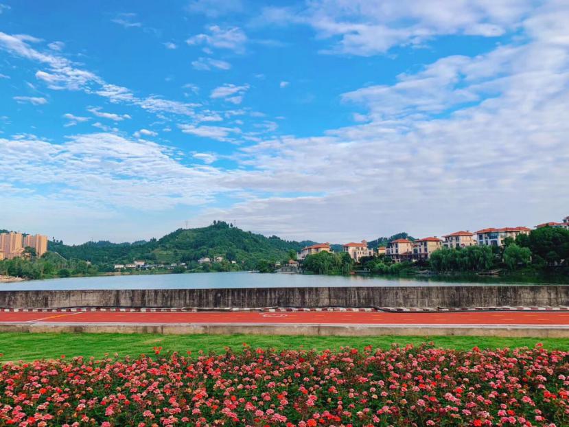 鸿坤地产项目实景图