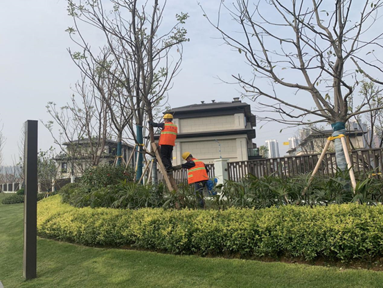 鸿坤地产项目实景拍摄