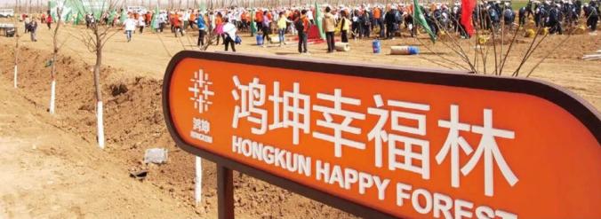 鸿坤绿色森林计划实景拍摄