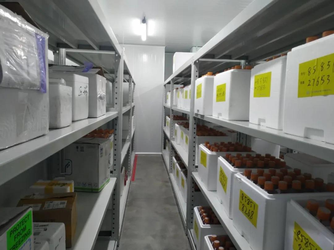 鸿坤产业园区企业参比制剂服务中心生物试剂库