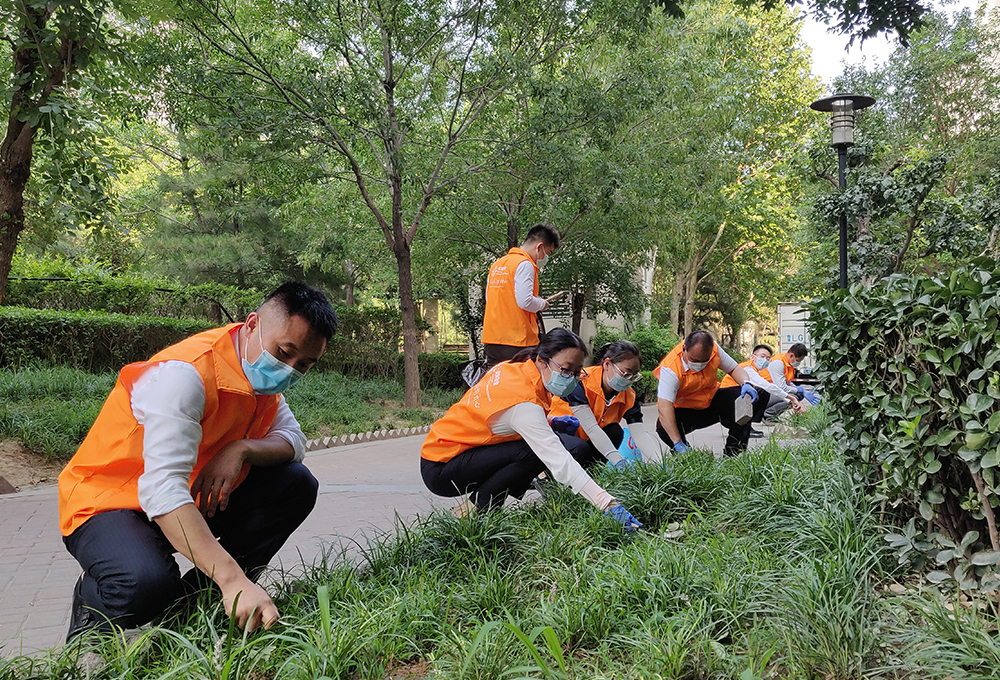 鸿坤集团2020鸿乐季活动实拍