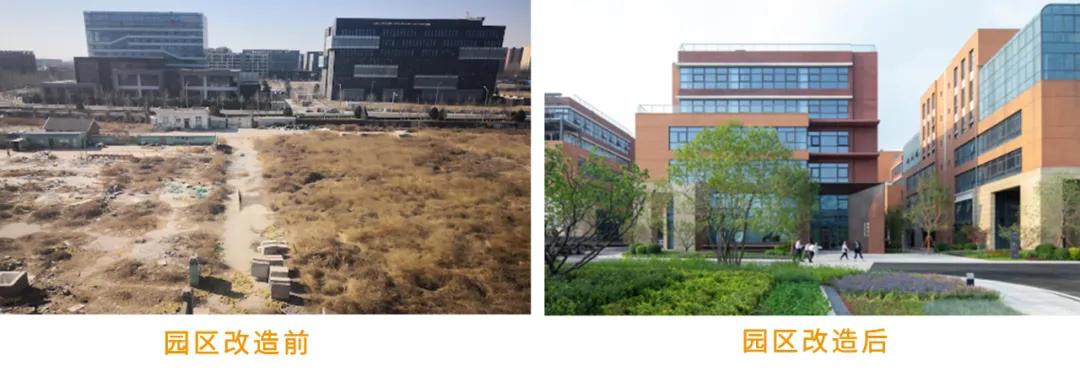 鸿坤产业园区鸿坤国际生物医药园产业园改造前后对比图